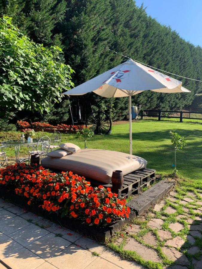 Agroturismo Anziola Villa Oiartzun Exteriör bild