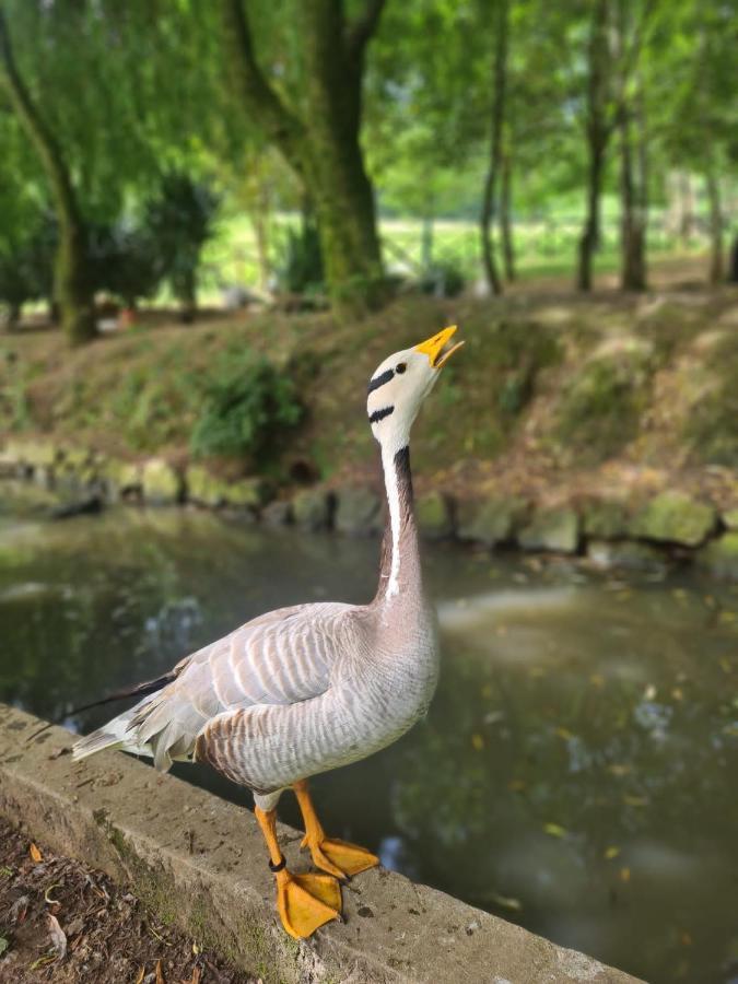 Agroturismo Anziola Oiartzun Exteriör bild
