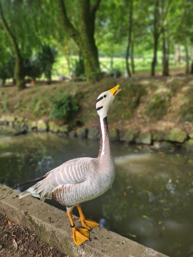 Agroturismo Anziola Villa Oiartzun Exteriör bild